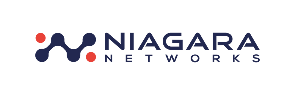 Компания Niagara Networks - изображение 1