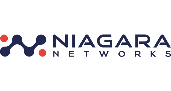 Компания Niagara Networks